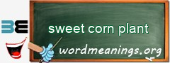 WordMeaning blackboard for sweet corn plant